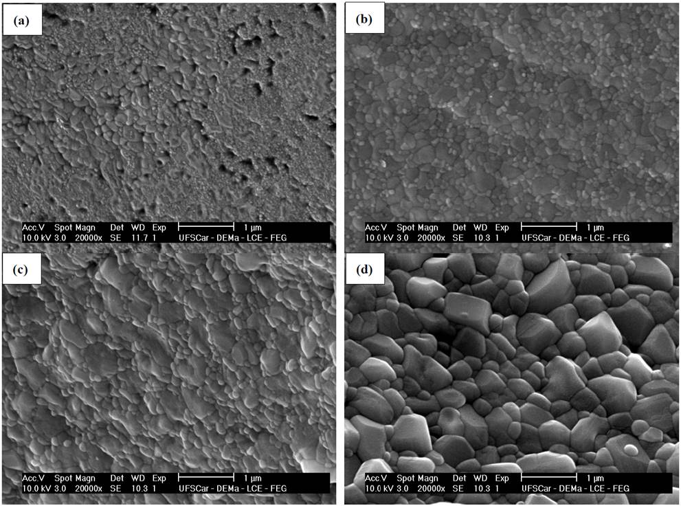 Micrographs obtained by SEM of the fractured surface of glass-ceramics of composition Li1.3Al0.3Ti1.7(PO4)3 treated at (a) 700 &deg;C, (b) 800 &deg;C, (c) 900 &deg;C y (d) 1000 &deg;C, for 20 min.