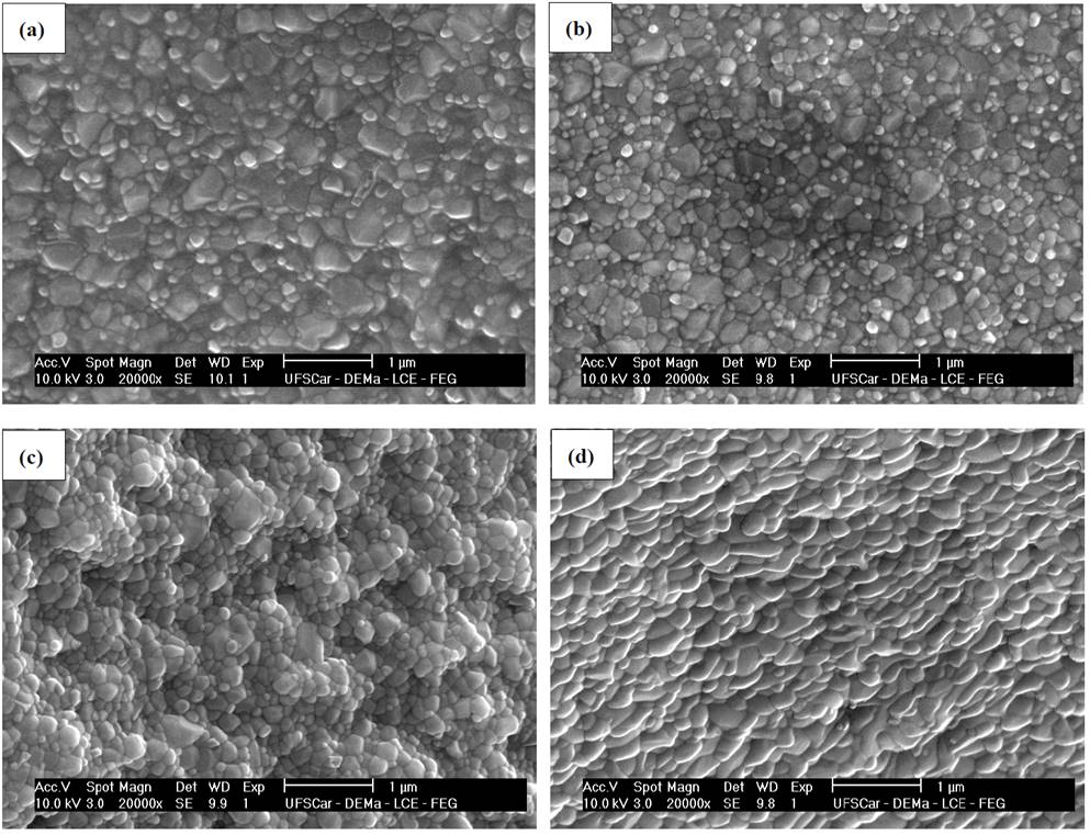 Micrographs obtained by SEM of the fractured surface of glass-ceramics of composition Li1.3Al0.3Ti1.7(PO4)3 treated at 606 &deg;C (Tg - 10 &deg;C) during (a) 10, (b) 30, (c) 120 and (d) 480 min, followed by crystal growth heat treatment at 900 &deg;C for 20 min.