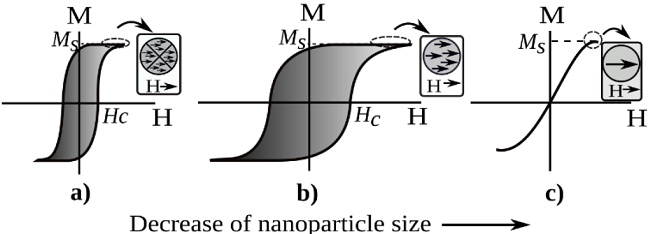 Effect of size of particles on magnetic behavior. a) Multidomain, b) single domain, c) superparamagnetic.