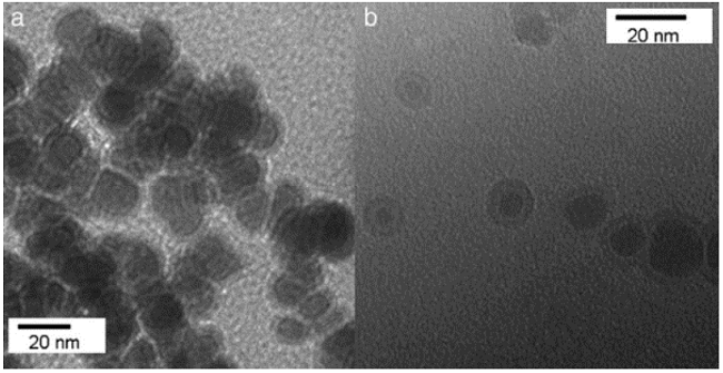 TEM images of Fe/Fe3O4/HMDS/PC nanoparticles: (a) without exposure to water; (b) exposed to water for 1.5 h.