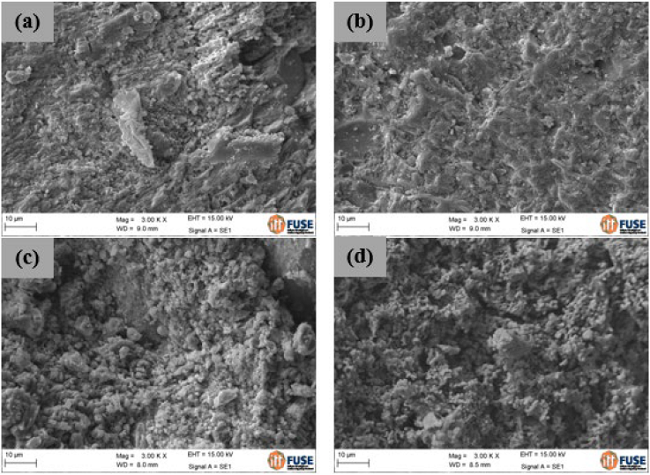 SEM micrographs of P1 (mag. 3000X): (a) reference sample, (b) 25 cm depth sample, (c) 5 cm depth sample and (d) 0 cm depth sample