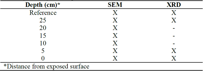 Summary of analyzed samples