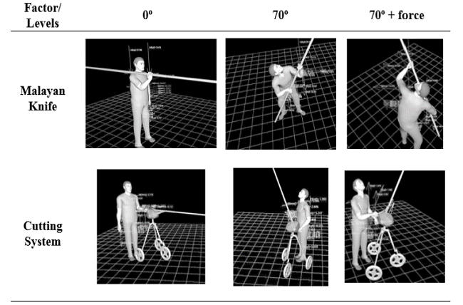 Treatment levels for each measurement.