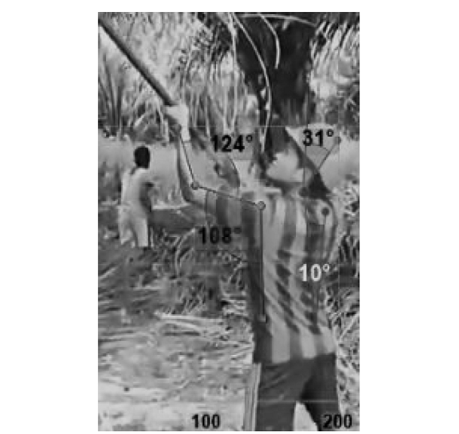 Angles of limbs while workers use the Malaysian knife