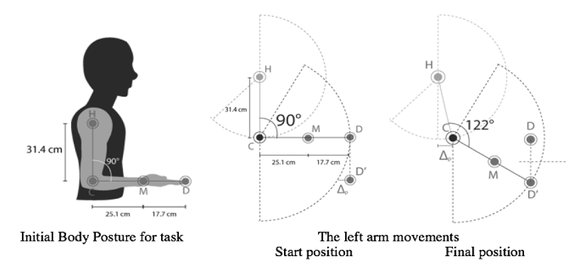 Biomechanical Movement Synthesis. Harvesting task using the Cutting System with the Elevated Arm.