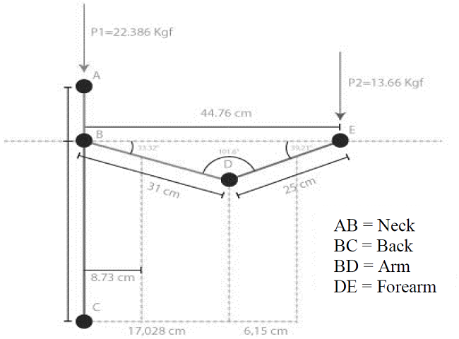 0&deg; Posture to establish Chaffin&rsquo;s equation