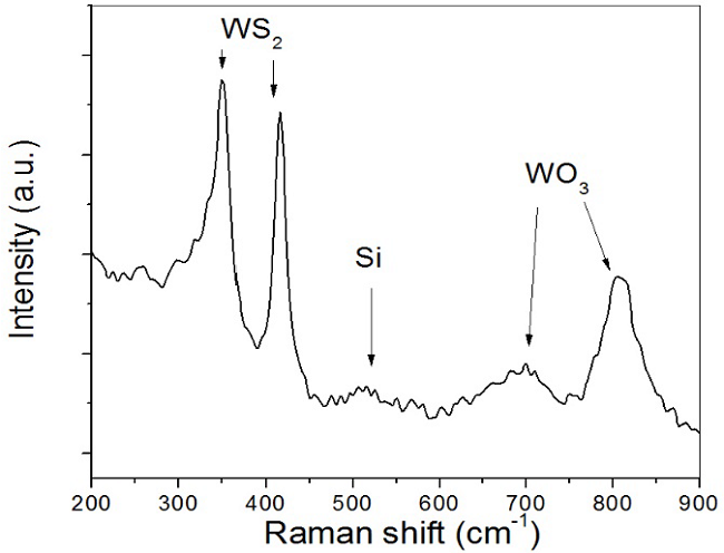 Raman spectra of pure WS2.
