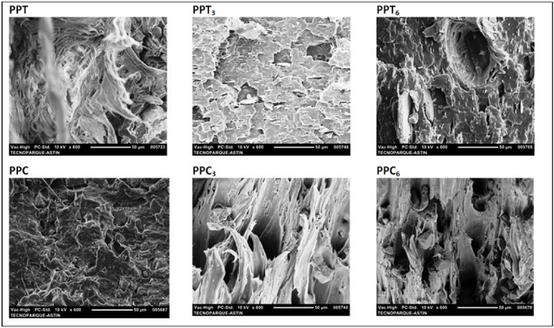 SEM micrographs taken from fracture surfaces of PPMn composites at a magnification of 600x.
