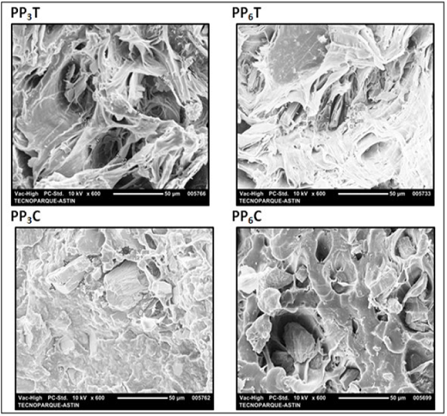 SEM micrographs taken from fracture surfaces of PPnM composites at a magnification of 600x.
