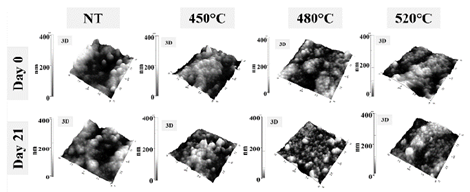 AFM images for the different samples at 0 and 21 days immersion