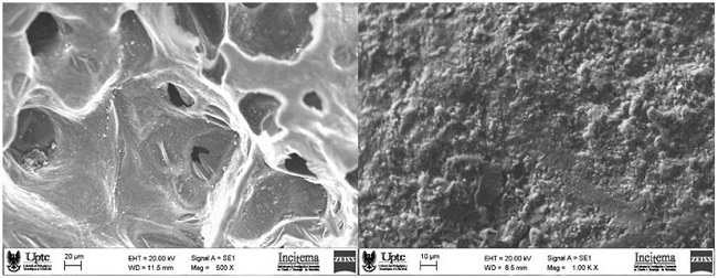 Microscopic morphology (a) BOF slag; (b) BFD