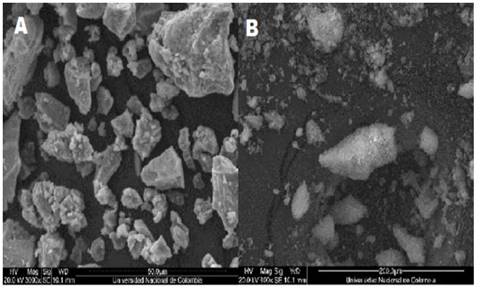 Microcapsule morphology (A: maltodextrin and gum arabic, B: gelatin, sugar and lecithin).
