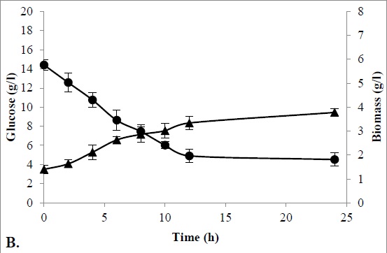 The kinetics of cell growth (▲) and substrate utilization (●)in a conventional culture media. 1A. Lactococcus lactis 25-2, 1B. Streptococcus infantarius 46-3 y C. Lactobacillus plantarum 60-1.