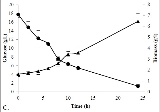 The kinetics of cell growth (▲) and substrate utilization (●)in a conventional culture media. 1A. Lactococcus lactis 25-2, 1B. Streptococcus infantarius 46-3 y C. Lactobacillus plantarum 60-1.