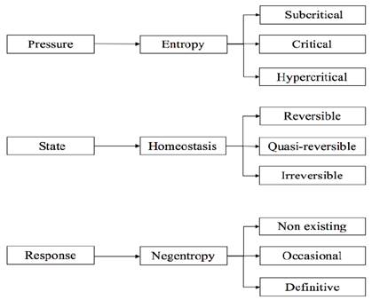 Subclassifications of the EHN Model.