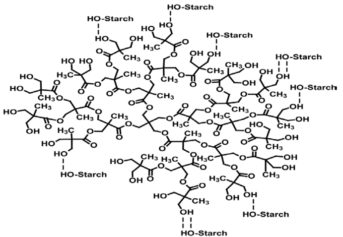 Schematic representation of the interactions between starch and HBP. 