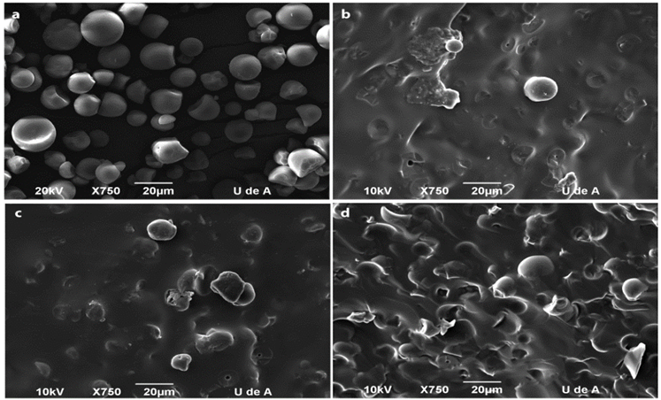 SEM micrographs of the samples a) starch, b) TPS30, c) TPS40 and d) TPS50.