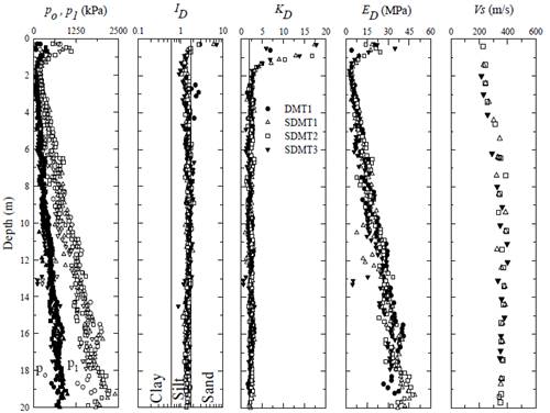 DMT and SDMT data for the studied site.