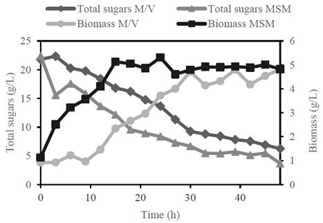 Growth of R. eutropha ATCC 17699 in molasses/vinasse: 25/75 with addition of nitrogen and salts and in MSM reference medium, grown in a 5L bioreactor. 