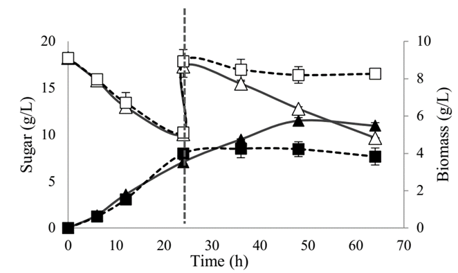 Growth curve and glucose consumption of SB-34 and R. eutropha H16.  Substrate and  biomass of SB-34;  substrate and  biomass of R. eutropha H16. (---) Substrate pulse.