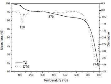 Thermogravimetric analysis for the EWA.