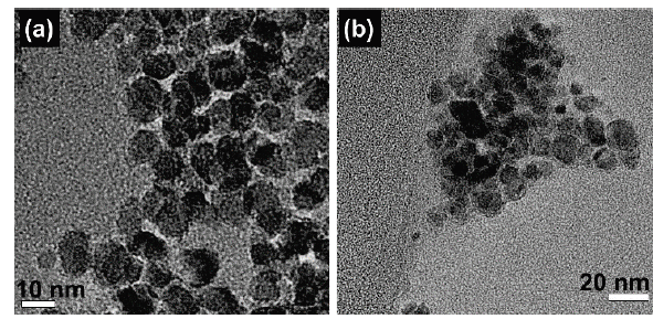 TEM images for samples (a) S1 (well-stabilized sample) and (b) S2 (poorly-stabilized sample).