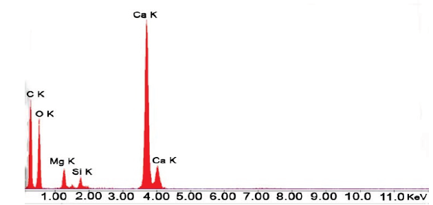 X-Ray Spectrogram. WCD sample.