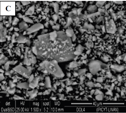 SEM Analysis. Images A: CD, B: RD, C: WCD. Image magnification is 1500x and the represented scale is 40 µm.