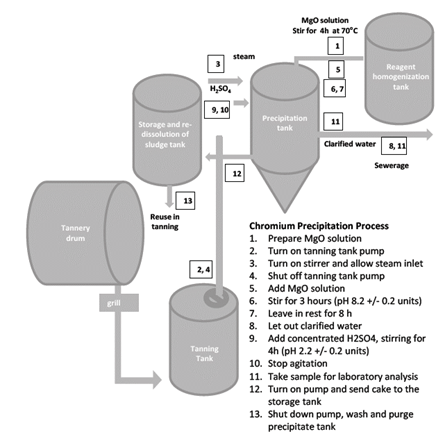 Diagram that summarizes the operation of the physicochemical alternative.