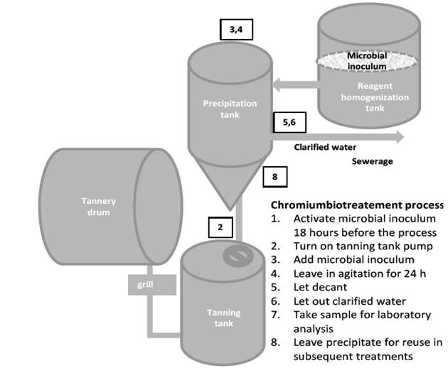 Diagram that summarizes the operation of the biotechnological alternative.