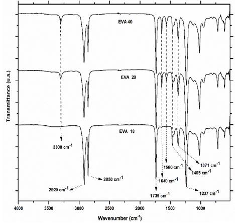 IR spectra of EVA 18, 28 and 40.