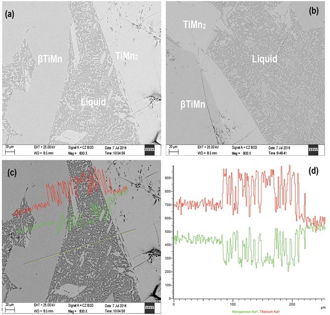 Imagen SEM, del experimento 5 a 1200 &deg;C (a) y (b) scan-line del experimento 5 (c) intensidad scan-line experimento 5.