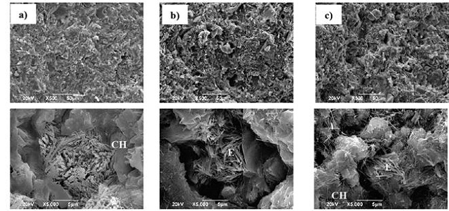 Im&aacute;genes SEM de: (a) PATRON, (b) 20% RM and (c) 50% RM a 3 d&iacute;as de curado.