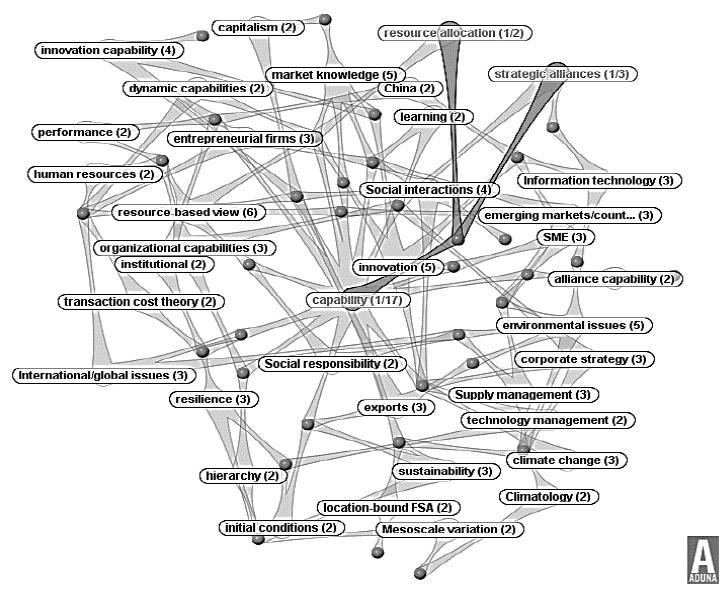 Keywords network in capability development.