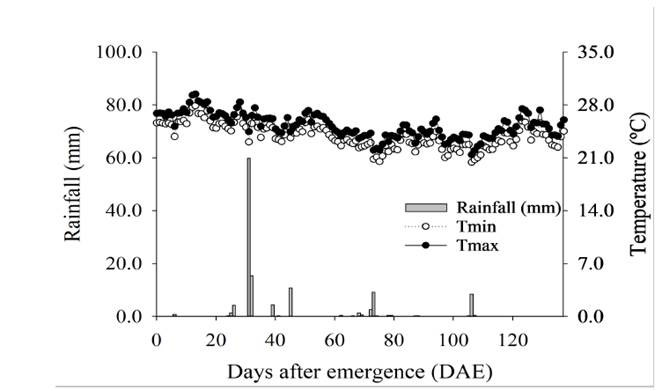 Rainfall (mm) and daily maximum and minimum air temperature (&deg;C) during the cotton development cycle.
