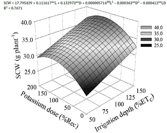 Response surface for seed cotton weight (SCW) of colored cotton, cv. &lsquo;BRS Rubi&rsquo;, as a function of irrigation depths (L) and potassium doses (D). **, * and NS significant at 0.01 and 0.05 probability levels and not significant, respectively.