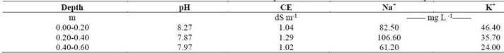 Chemical characterization of the soluble ions of the soil before the salinization process, carried out in saturated soil extract paste.