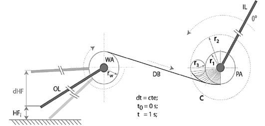 Schematic representation of the proposed mechanism.