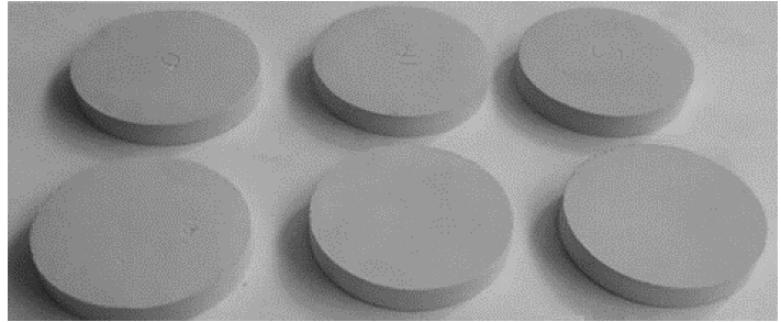 Prototipos cer&aacute;micos para el ensayo de absorci&oacute;n.