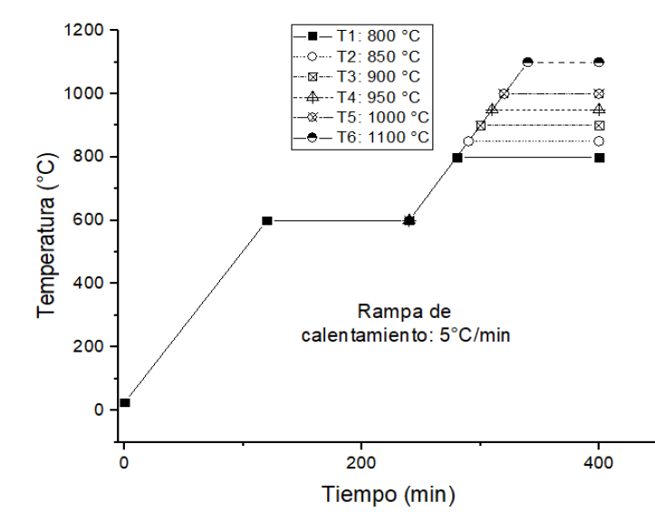 Curva de sinterizaci&oacute;n utilizada para cada lote de probetas cer&aacute;micas con temperaturas entre 800 - 1100 &deg;C.