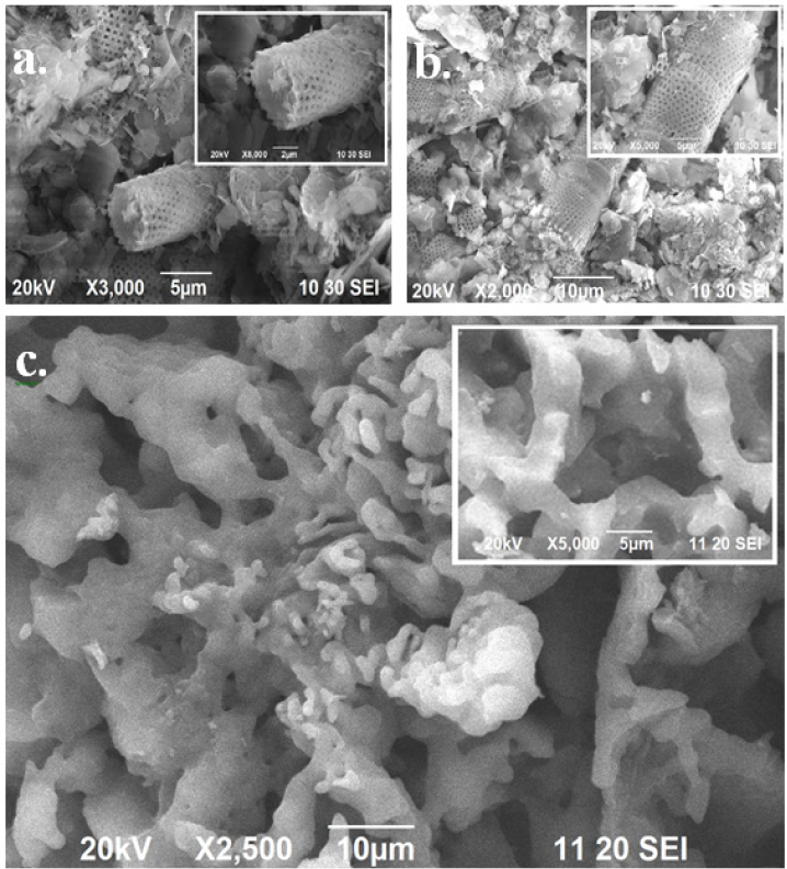 Microfotograf&iacute;as de MEB de prototipos cer&aacute;micos (a). 3000X y 6000X a 800 &deg;C. (b). 2000X y 5000X a 900 &deg;C. (c). 2500X y 5000X a 1100 &deg;C.