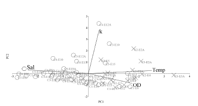 Main component analysis of the physicochemical variables. The X (Region 1) and circles (Region 2) show the distribution of the stations and the arrows show the vectors of the variables included in the analysis. Temp: temperature. Salt: salinity. OD: dissolved oxygen. k: light extinction coefficient. C1: May. C2: August. C3: November. C4: December.