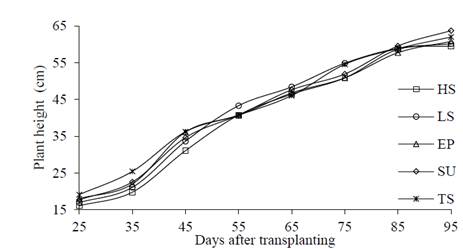 Plant height (PH) of capsicum R&uacute;bia, due to the different irrigation controls and their temporal evolution during the study. HS - Hargreaves-Samani, LS - Weighing Lysimeter, EP - Pich&eacute; Evaporimeter, SU - Soil moisture Sensor and TS - Tensiometer.
