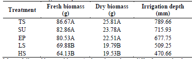 Shoot fesh biomass (FB) and shoot dry biomass (DB) of capsicum plants under different irrigation depths.