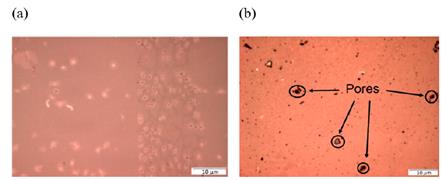 Micrographs of graphene deposited on copper through the CVD method and transferred on glass. (a) Sample 1 and (b) sample 2.