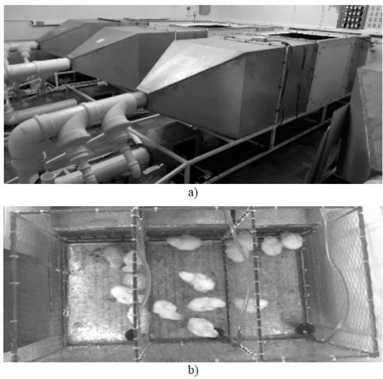 a) Overview of air-conditioned wind tunnels. b) Top view of the cages placed inside the tunnels.
