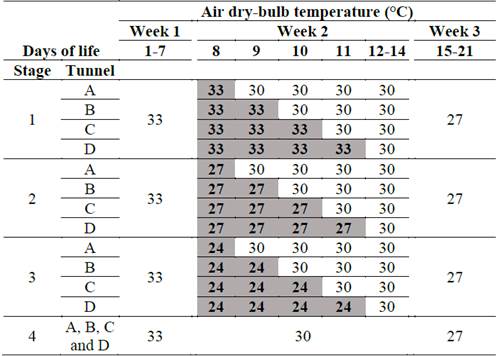 Desired air dry-bulb temperature (tdb) and thermal stress duration (in bold) applied to broilers from 1 to 21 days of age during the second week of life.