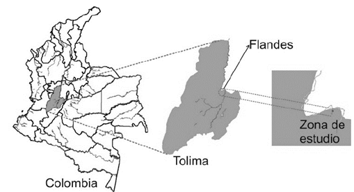 Location of the study area, located in the Municipality of Flandes in the tropical Colombian Andes of Colombia. 