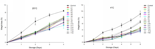 Behavior of WL of Andean blackberry stored at 25 &deg;C for 4 days and at 4 &deg;C for 6 days with application of EC based on CS/WP/BW. 