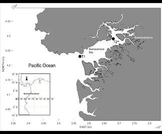Stations for model calibration and validation